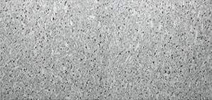 Luna Blanca